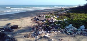 プラスチックゴミによる海洋汚染